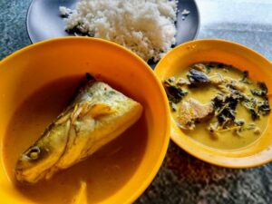 Kancil Raja Patin HQ Temerloh